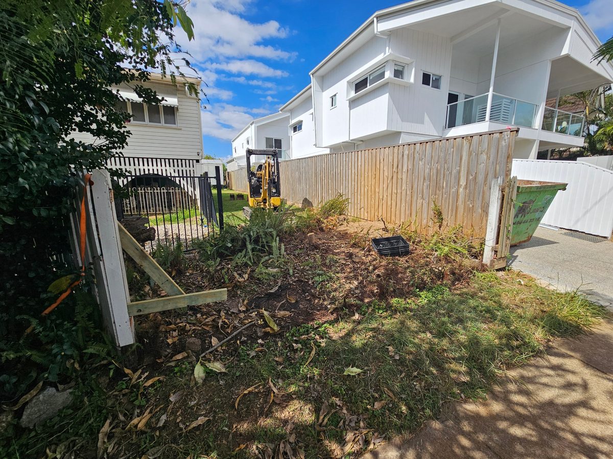 Overgrown site before clearing